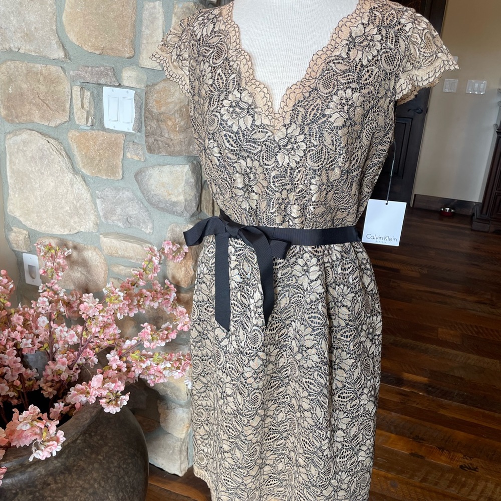 COPY - NEW with tags. Calvin Klein lace dress with black lining, back slit. Siz…